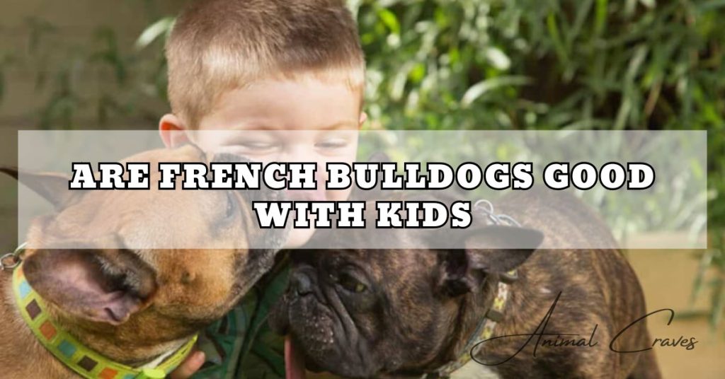 ARE FRENCH BULLDOGS GOOD WITH KIDS